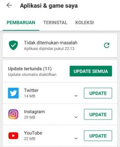cara memperbaharui play store